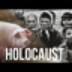 The Daily Holocaust