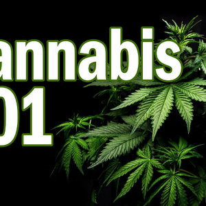 Cannabis 101 with Da420Nurse