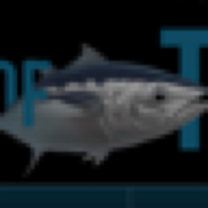 The Killing of Tuna
