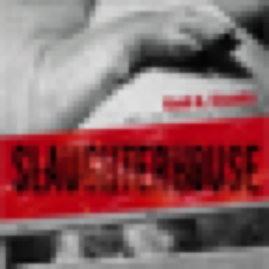 Slaughterhouse: Gail A Eisnitz